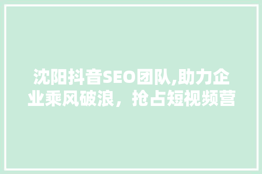 沈阳抖音SEO团队,助力企业乘风破浪，抢占短视频营销制高点 网络技术