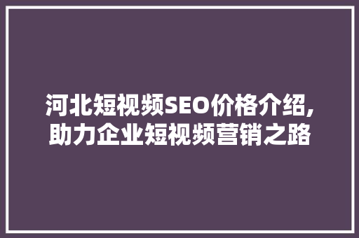 河北短视频SEO价格介绍,助力企业短视频营销之路