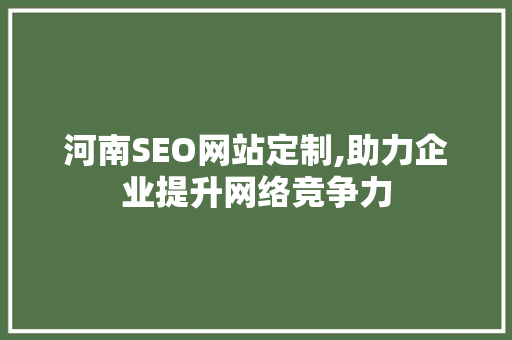 河南SEO网站定制,助力企业提升网络竞争力