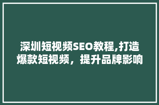深圳短视频SEO教程,打造爆款短视频，提升品牌影响力