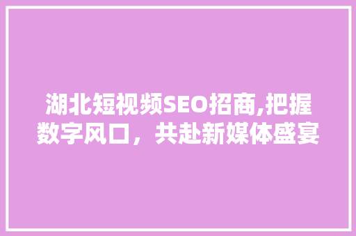 湖北短视频SEO招商,把握数字风口，共赴新媒体盛宴