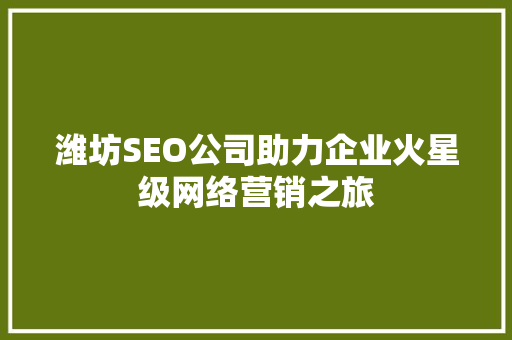 潍坊SEO公司助力企业火星级网络营销之旅