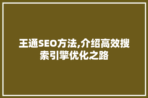 王通SEO方法,介绍高效搜索引擎优化之路