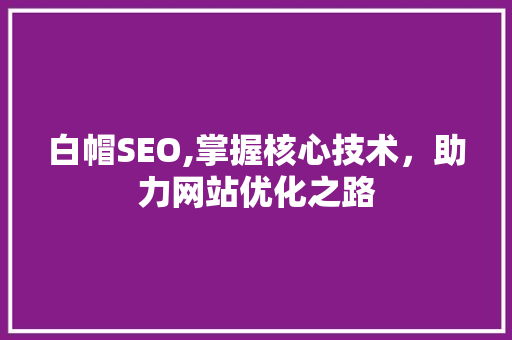 白帽SEO,掌握核心技术，助力网站优化之路 电脑基础