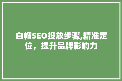 白帽SEO投放步骤,精准定位，提升品牌影响力
