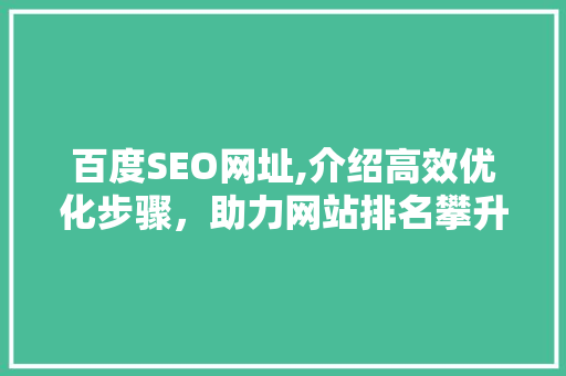 百度SEO网址,介绍高效优化步骤，助力网站排名攀升