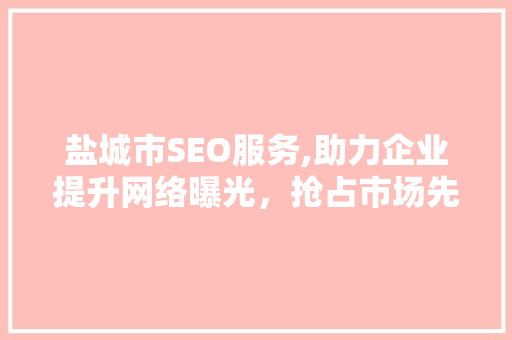 盐城市SEO服务,助力企业提升网络曝光，抢占市场先机