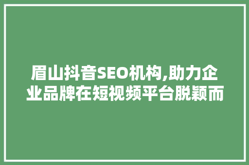眉山抖音SEO机构,助力企业品牌在短视频平台脱颖而出