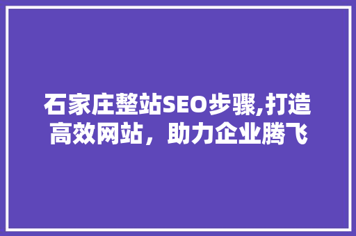 石家庄整站SEO步骤,打造高效网站，助力企业腾飞