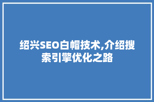 绍兴SEO白帽技术,介绍搜索引擎优化之路