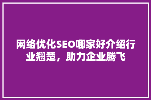 网络优化SEO哪家好介绍行业翘楚，助力企业腾飞