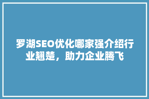 罗湖SEO优化哪家强介绍行业翘楚，助力企业腾飞
