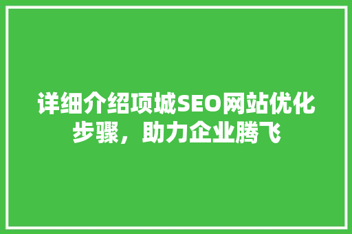 详细介绍项城SEO网站优化步骤，助力企业腾飞