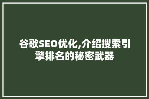 谷歌SEO优化,介绍搜索引擎排名的秘密武器 编程语言