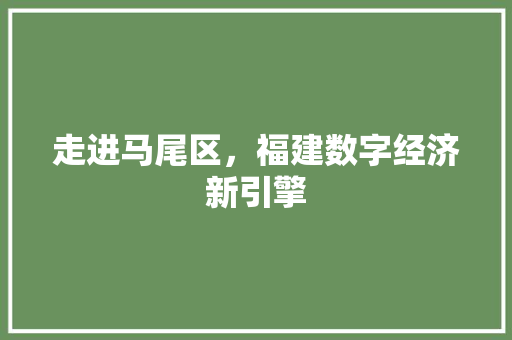 走进马尾区，福建数字经济新引擎