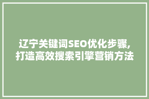 辽宁关键词SEO优化步骤,打造高效搜索引擎营销方法 辽宁关键词SEO优化步骤,打造高效搜索引擎营销方法