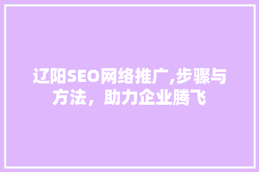 辽阳SEO网络推广,步骤与方法，助力企业腾飞 操作系统