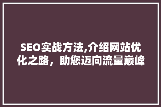 SEO实战方法,介绍网站优化之路，助您迈向流量巅峰