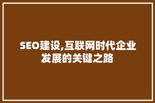 SEO建设,互联网时代企业发展的关键之路