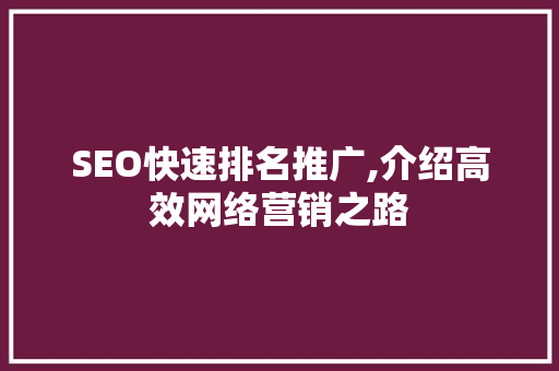 SEO快速排名推广,介绍高效网络营销之路