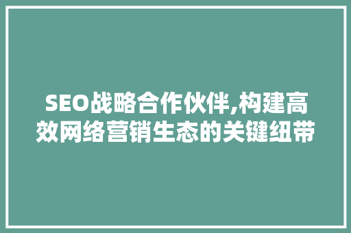 SEO战略合作伙伴,构建高效网络营销生态的关键纽带