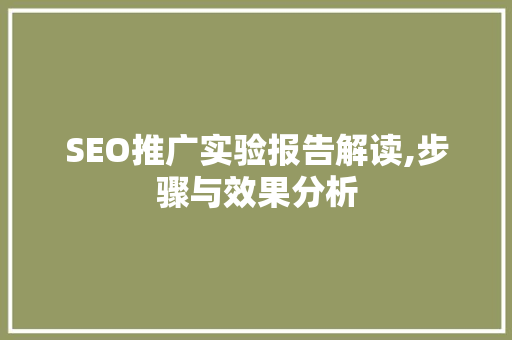 SEO推广实验报告解读,步骤与效果分析