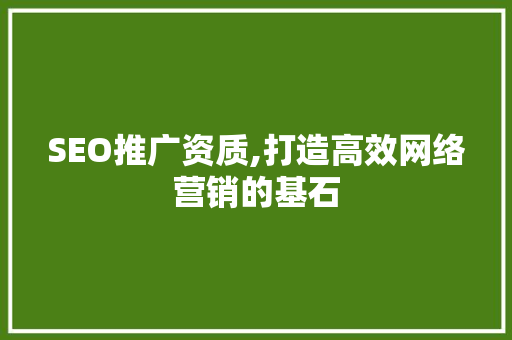 SEO推广资质,打造高效网络营销的基石