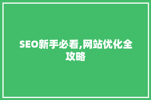 SEO新手必看,网站优化全攻略