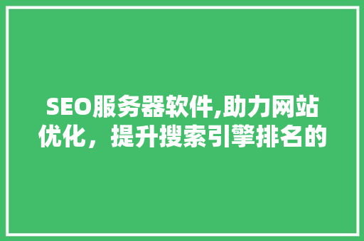 SEO服务器软件,助力网站优化，提升搜索引擎排名的得力助手