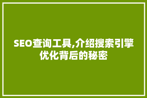 SEO查询工具,介绍搜索引擎优化背后的秘密