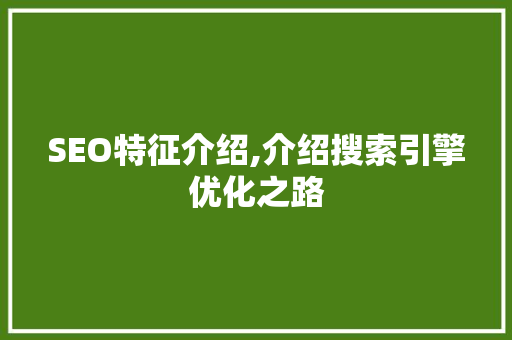 SEO特征介绍,介绍搜索引擎优化之路