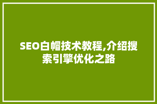 SEO白帽技术教程,介绍搜索引擎优化之路