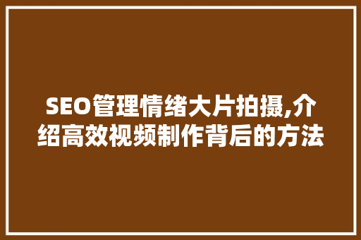 SEO管理情绪大片拍摄,介绍高效视频制作背后的方法