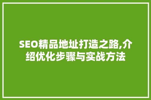 SEO精品地址打造之路,介绍优化步骤与实战方法 SEO精品地址打造之路,介绍优化步骤与实战方法