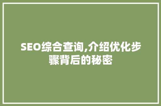 SEO综合查询,介绍优化步骤背后的秘密 SEO综合查询,介绍优化步骤背后的秘密