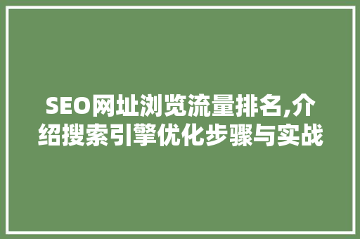 SEO网址浏览流量排名,介绍搜索引擎优化步骤与实战方法 SEO网址浏览流量排名,介绍搜索引擎优化步骤与实战方法