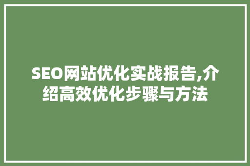 SEO网站优化实战报告,介绍高效优化步骤与方法