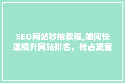 SEO网站秒拍教程,如何快速提升网站排名，抢占流量高地