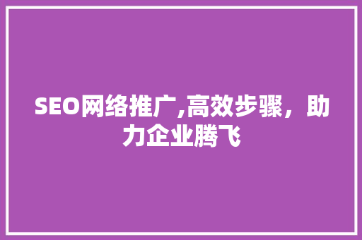 SEO网络推广,高效步骤，助力企业腾飞