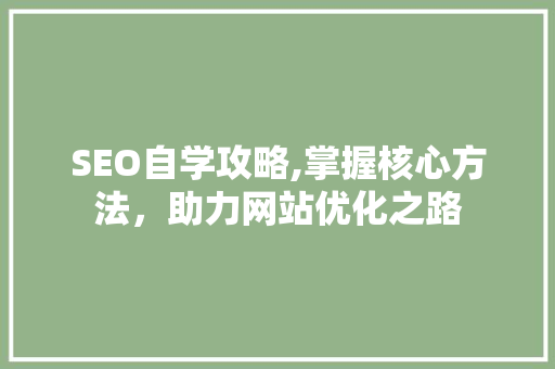 SEO自学攻略,掌握核心方法，助力网站优化之路