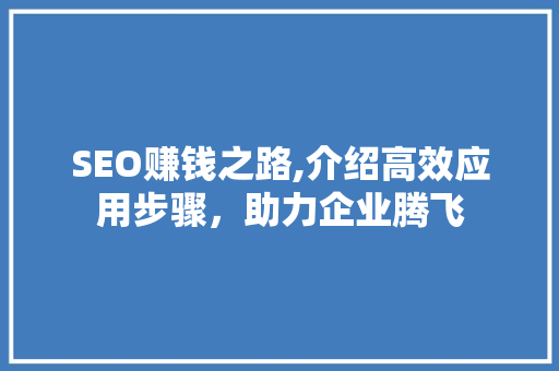SEO赚钱之路,介绍高效应用步骤，助力企业腾飞