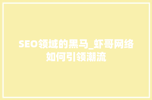 SEO领域的黑马_虾哥网络如何引领潮流