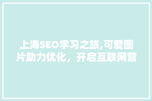 上海SEO学习之旅,可爱图片助力优化，开启互联网营销新篇章