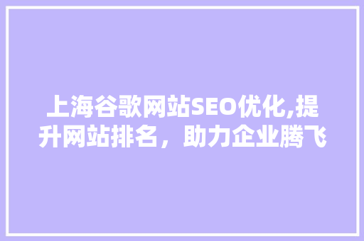 上海谷歌网站SEO优化,提升网站排名，助力企业腾飞