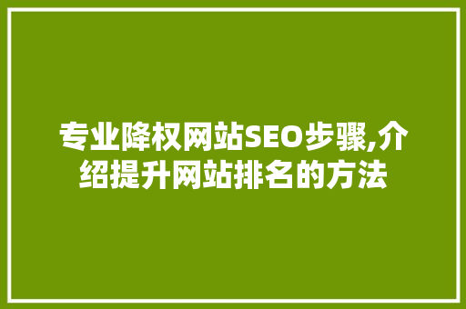 专业降权网站SEO步骤,介绍提升网站排名的方法