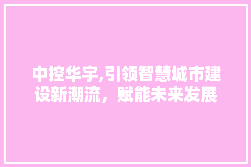中控华宇,引领智慧城市建设新潮流，赋能未来发展