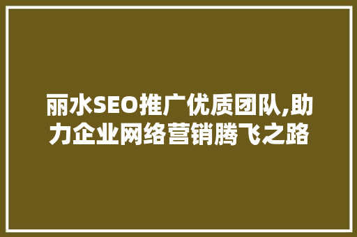 丽水SEO推广优质团队,助力企业网络营销腾飞之路