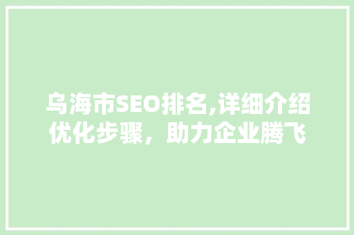 乌海市SEO排名,详细介绍优化步骤，助力企业腾飞