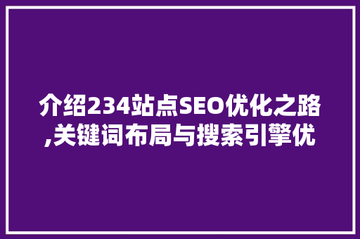 介绍234站点SEO优化之路,关键词布局与搜索引擎优化步骤