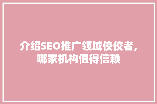 介绍SEO推广领域佼佼者,哪家机构值得信赖